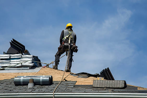 Professional Gutter Installation technician working in Tuscaloosa, AL